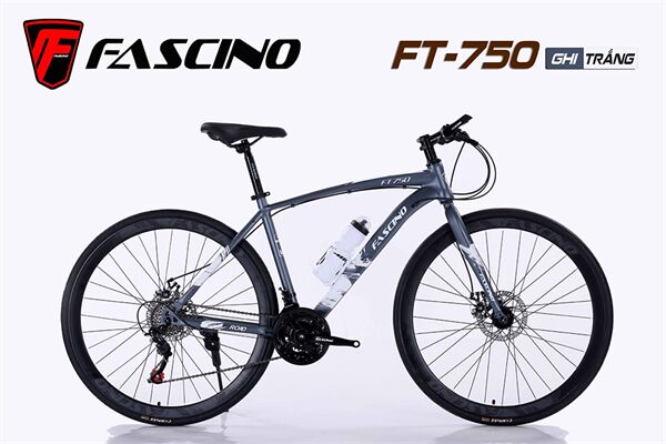 Xe đạp touring Fascino FT-750