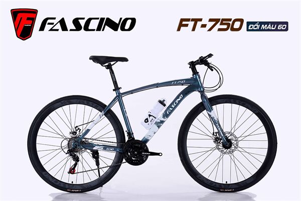 Xe đạp touring Fascino FT-750