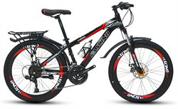 Xe đạp điện địa hình Fascino W400X