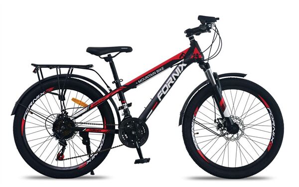 Xe đạp điện địa hình Fornix F24