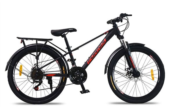 Xe đạp điện địa hình Fornix X24