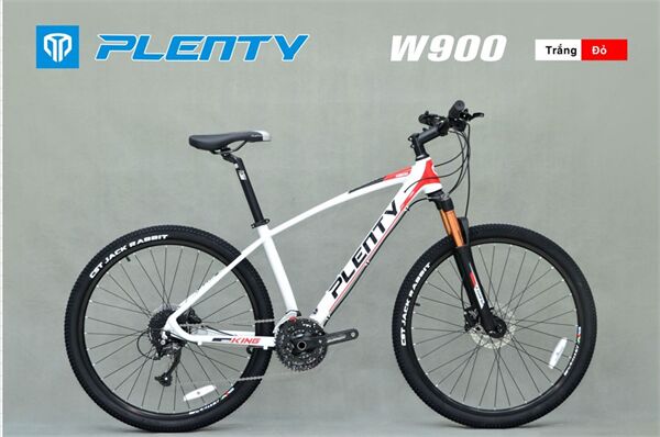 Xe đạp địa hình thể thao Plenty W900