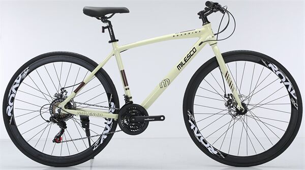 Xe đạp touring MILESCO ML-R500