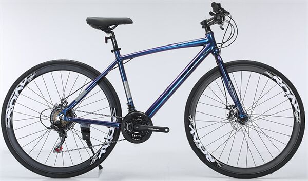 Xe đạp touring MILESCO ML-R500
