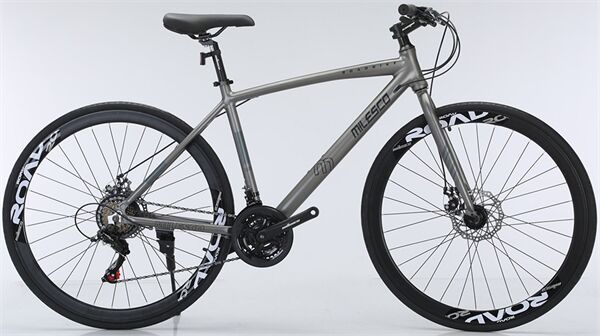 Xe đạp touring MILESCO ML-R500