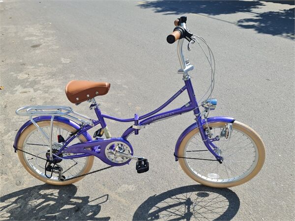 Xe đạp gấp trẻ em nữ Mypallas M260