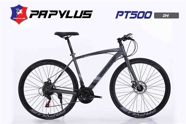 Xe đạp touring Papylus PT500