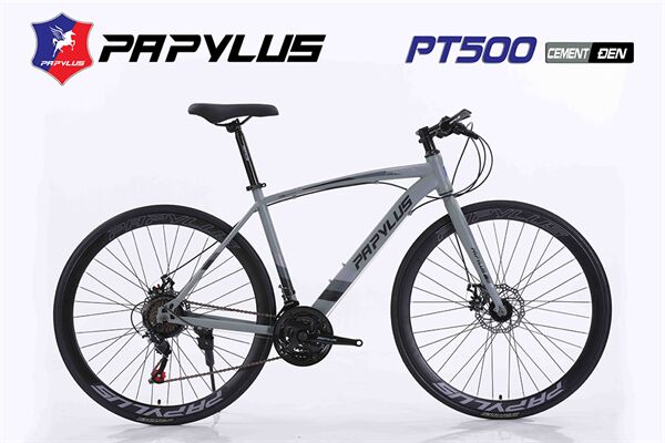 Xe đạp touring Papylus PT500