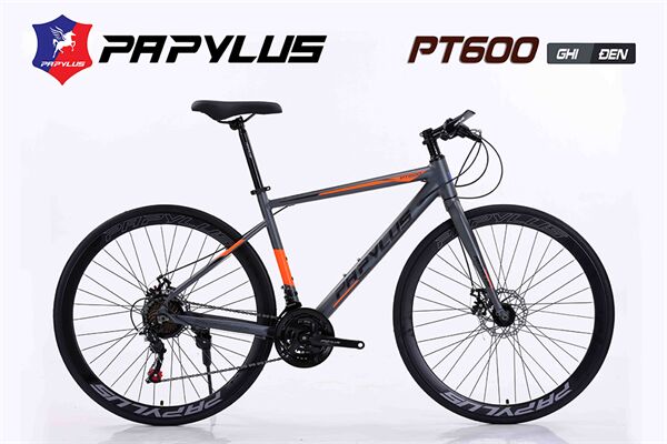 Xe đạp touring Papylus PT600