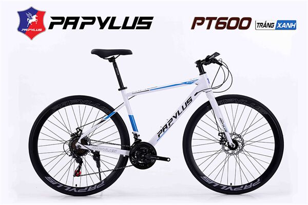 Xe đạp touring Papylus PT600
