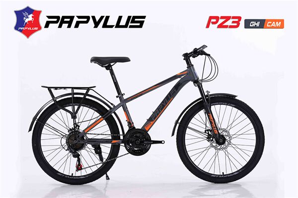 Xe đạp địa hình thể thao Papylus PZ3