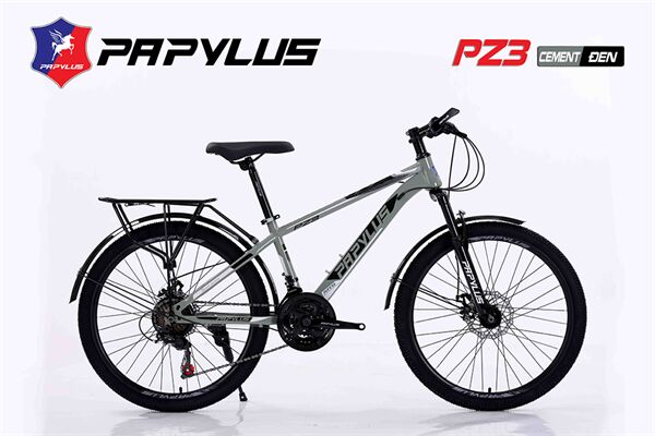 Xe đạp địa hình thể thao Papylus PZ3