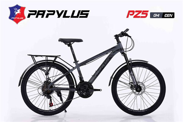 Xe đạp địa hình thể thao Papylus PZ5
