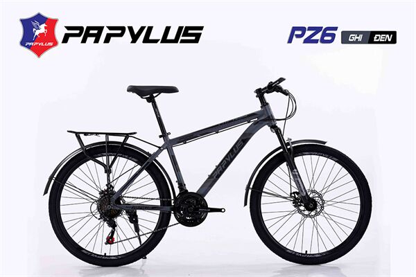Xe đạp địa hình thể thao Papylus PZ6