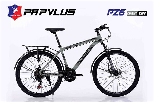 Xe đạp địa hình thể thao Papylus PZ6