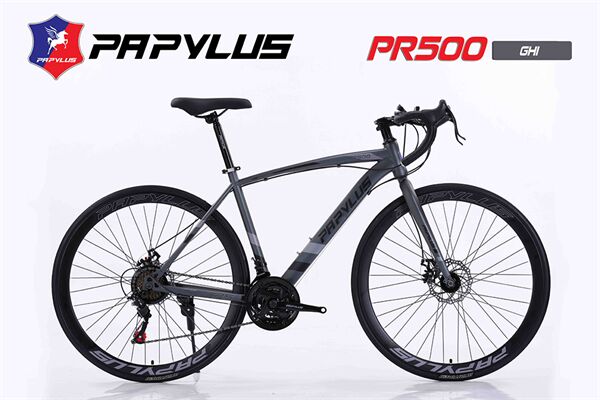 Xe đạp đua Papylus PR500