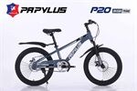 Xe đạp trẻ em Papylus P20