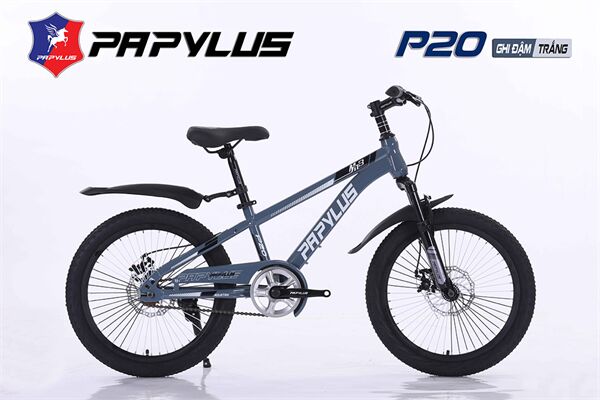 Xe đạp trẻ em Papylus P20