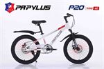 Xe đạp trẻ em Papylus P20