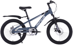 Xe đạp trẻ em Papylus P20