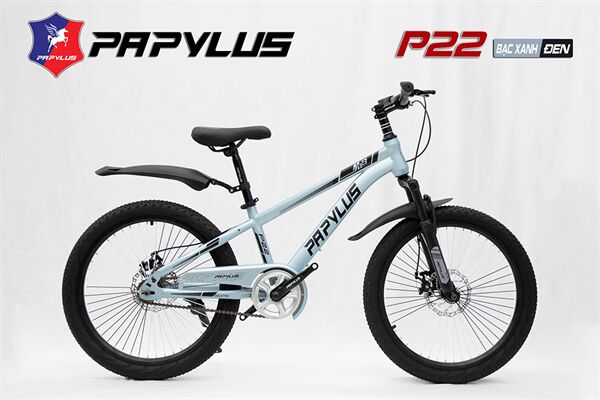 Xe đạp trẻ em Papylus P22