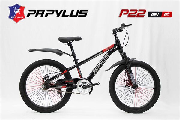 Xe đạp trẻ em Papylus P22