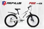 Xe đạp trẻ em Papylus P22