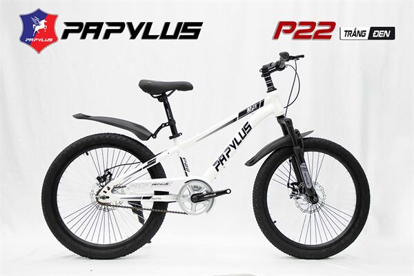 Xe đạp trẻ em Papylus P22