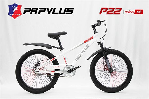 Xe đạp trẻ em Papylus P22