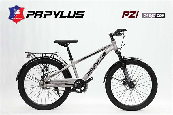 Xe đạp địa hình thể thao Papylus PZ1
