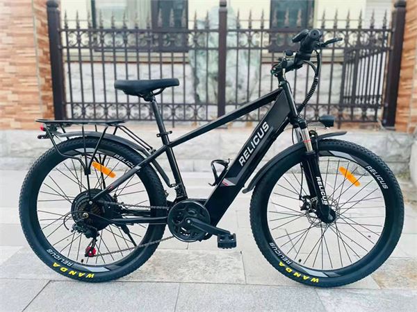 Xe đạp trợ lực điện RELICUS