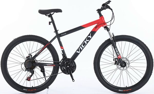 Xe đạp địa hình thể thao Vicky VF6