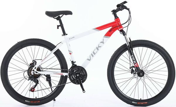 Xe đạp địa hình thể thao Vicky VF6