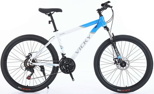 Xe đạp địa hình thể thao Vicky VF6