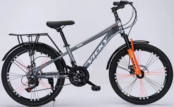 Xe đạp trẻ em Vicky Q22D