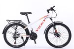 Xe đạp địa hình thể thao Vicky VIC24
