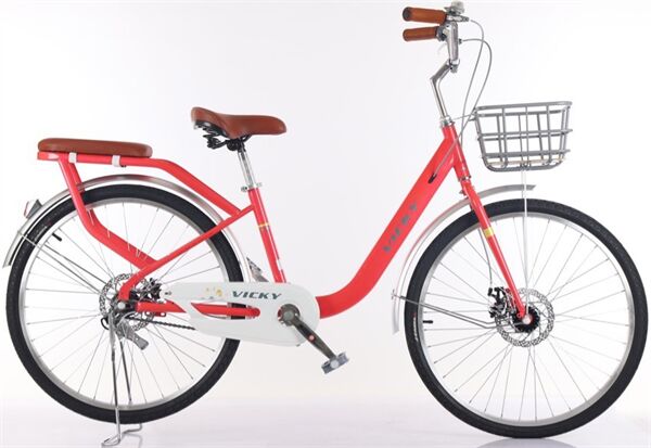 Xe đạp nữ Vicky YG24