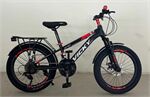 Xe đạp trẻ em Vicky VF20