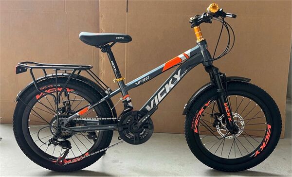 Xe đạp trẻ em Vicky VF20