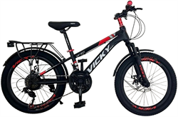 Xe đạp trẻ em Vicky VF20