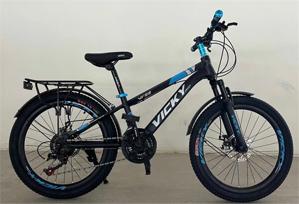 Xe đạp trẻ em Vicky VF22