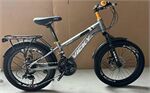 Xe đạp trẻ em Vicky VF22
