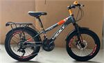 Xe đạp trẻ em Vicky VF22