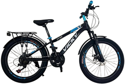 Xe đạp trẻ em Vicky VF22
