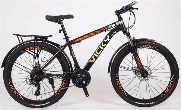 Xe đạp địa hình thể thao Vicky VIC6