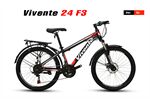 Xe đạp địa hình thể thao VIVENTE 24F3