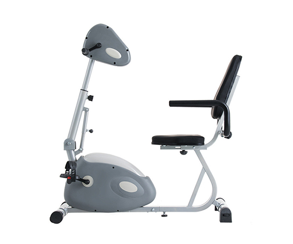 Xe đạp PHCN chạy điện T698