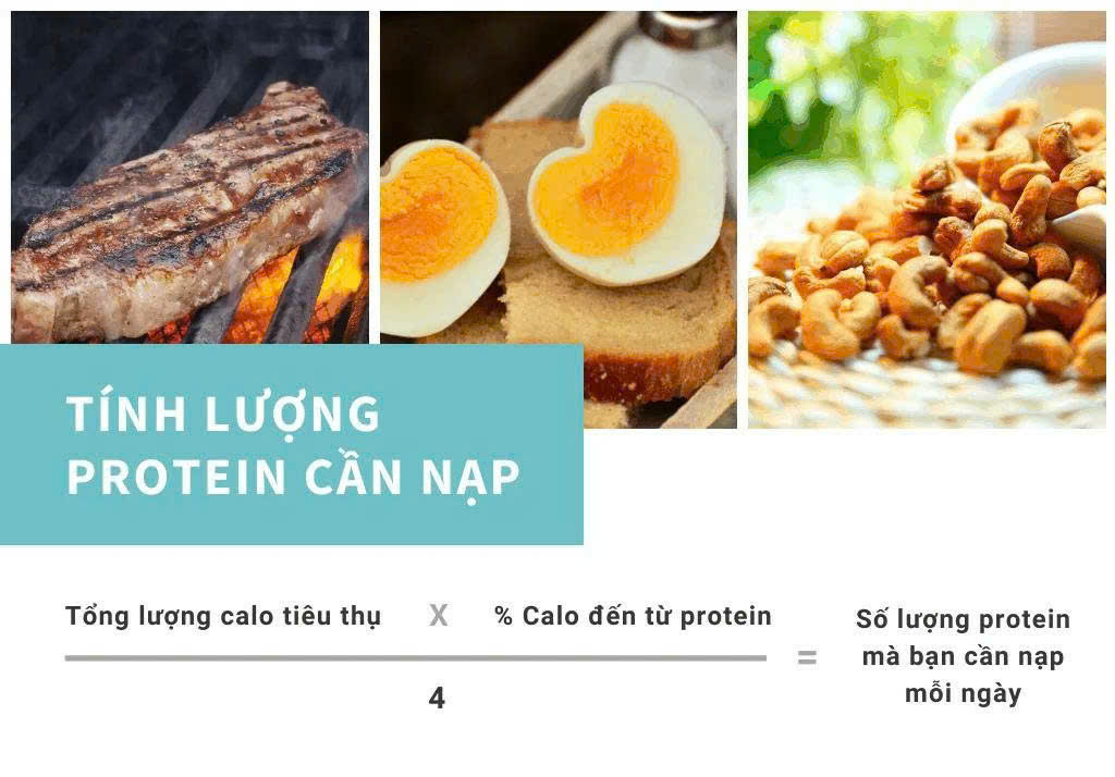Tổng lượng protein mỗi ngày nên là bao nhiêu? 