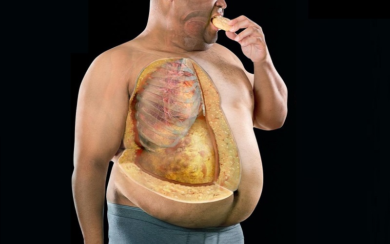 Lý do chơi thể thao ra mồ hôi nhiều nhưng không giảm được mỡ, đặc biệt là mỡ nội tạng