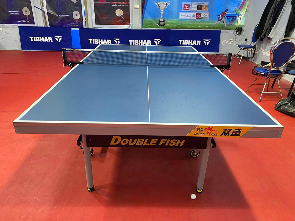 bàn bóng bàn Double Fish 233 5